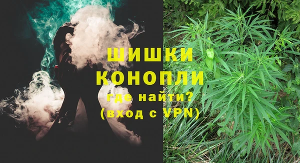 дурь Бородино