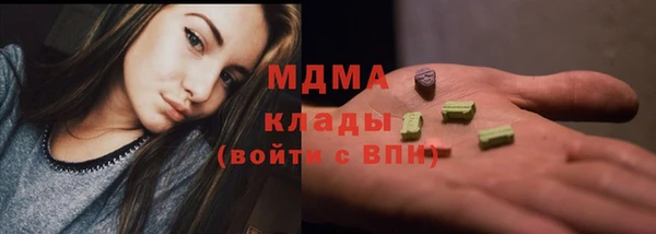 дурь Бородино