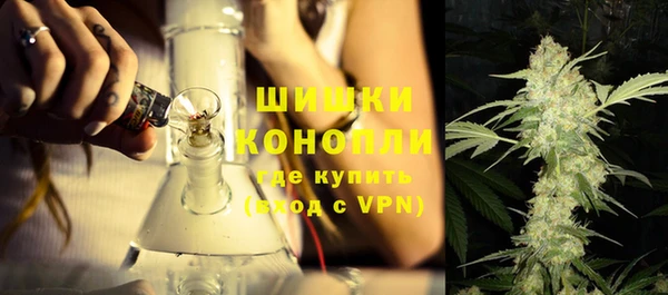 дурь Бородино