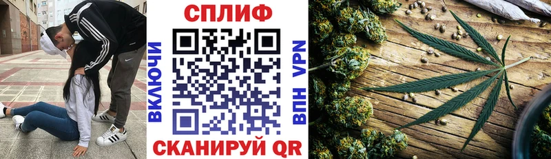 МАРИХУАНА конопля Волгодонск